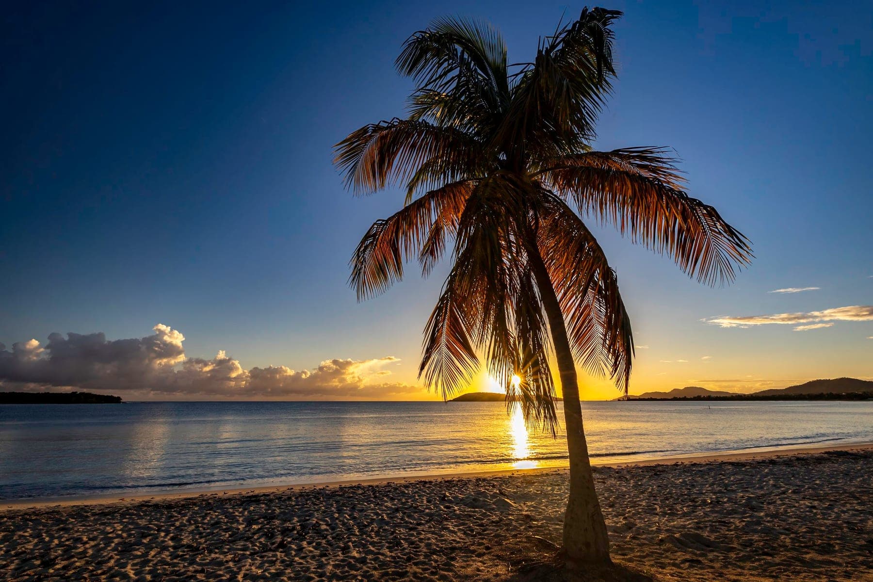 A leaning palm silhouetted against a glowing tropical sunset over the sea