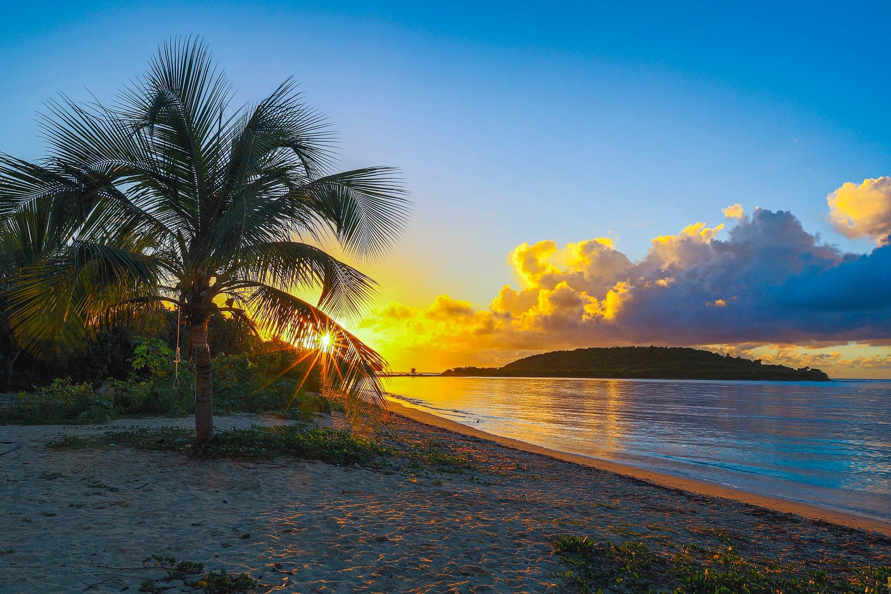Palm fronds framing a vivid sunrise over a calm tropical shoreline
