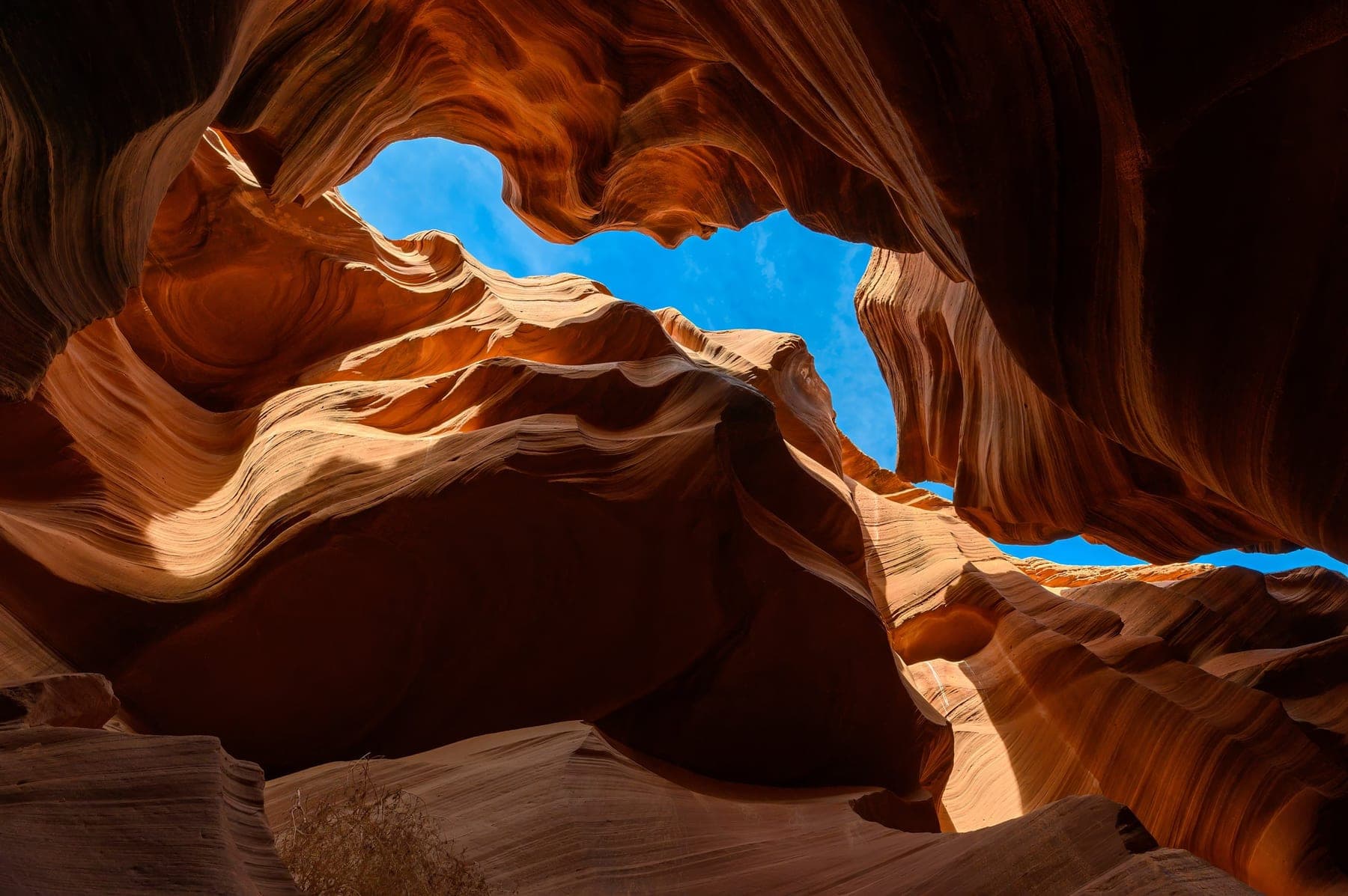 Sculpted curves of warm sandstone in a slot canyon, sharp from front to back