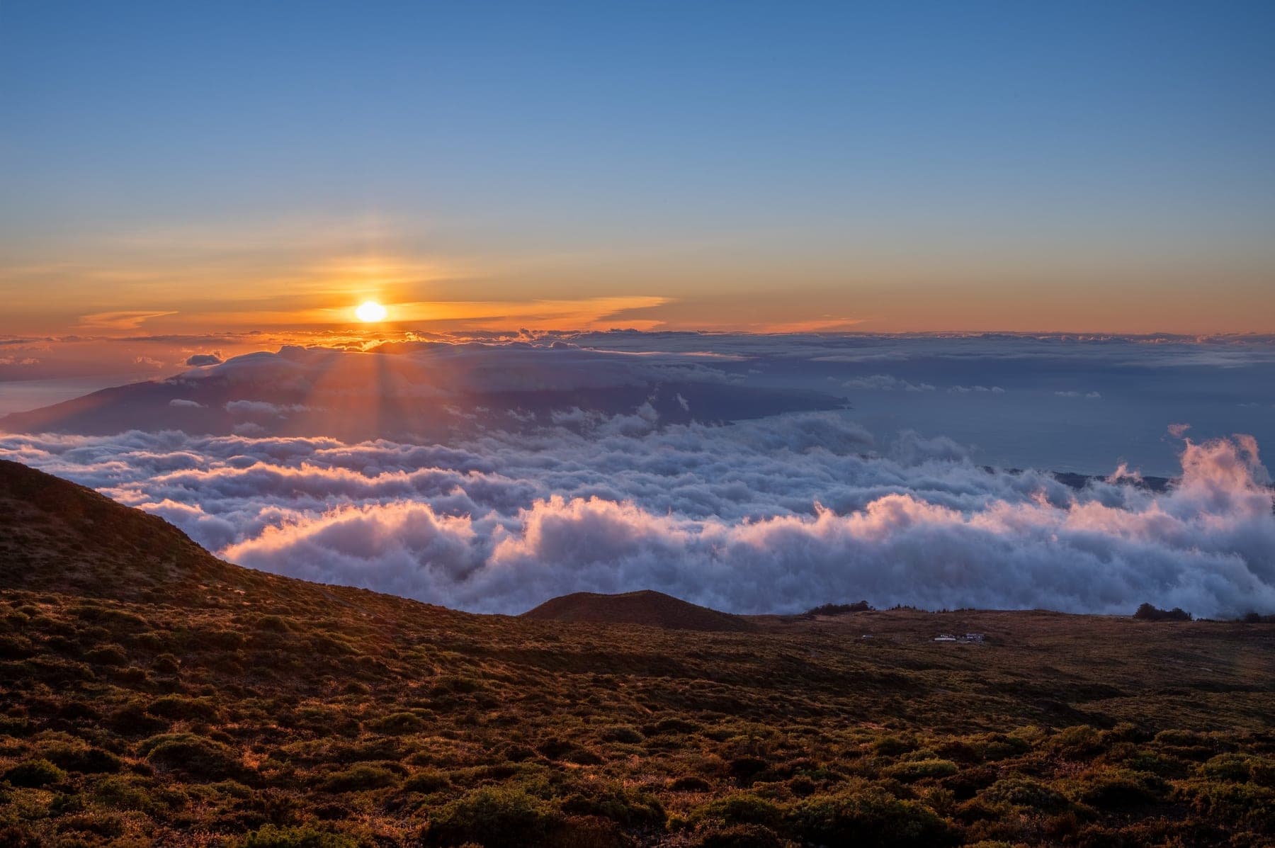 A sea of clouds glowing at sunset above a ridgeline, strong compositional layers